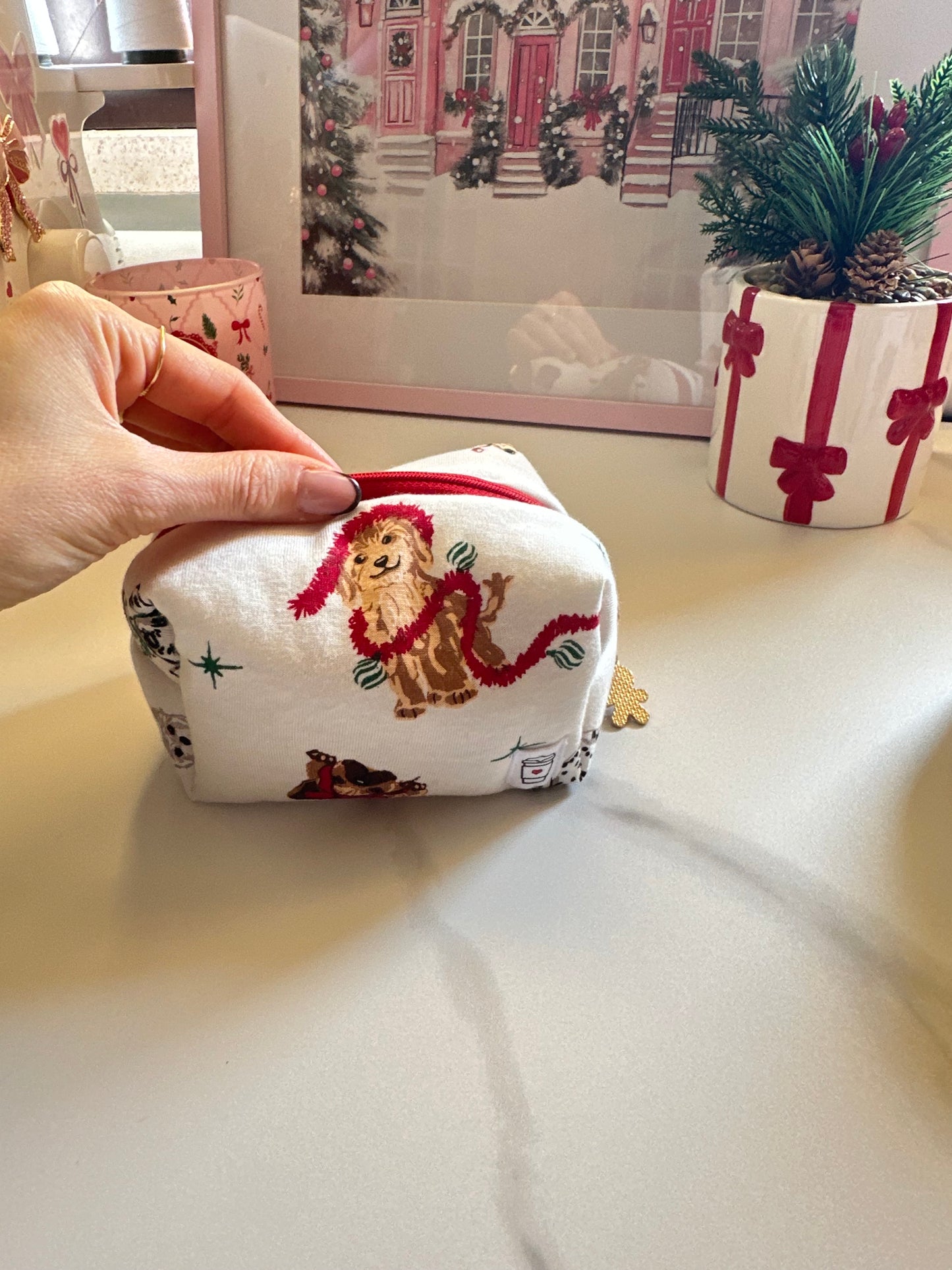 Beauty piccolo cagnolino maltese